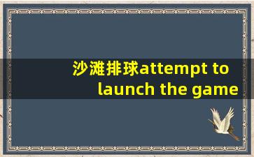 沙滩排球attempt to launch the game has failed